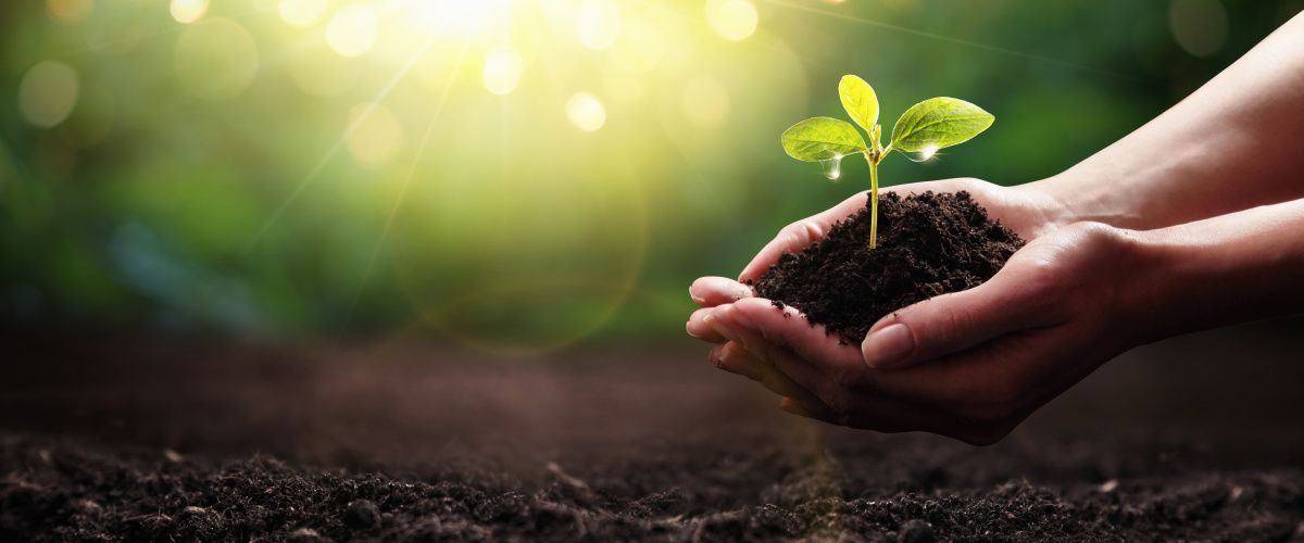 Solihull sustainability