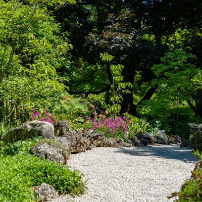 Birmingham Botanical Gardens