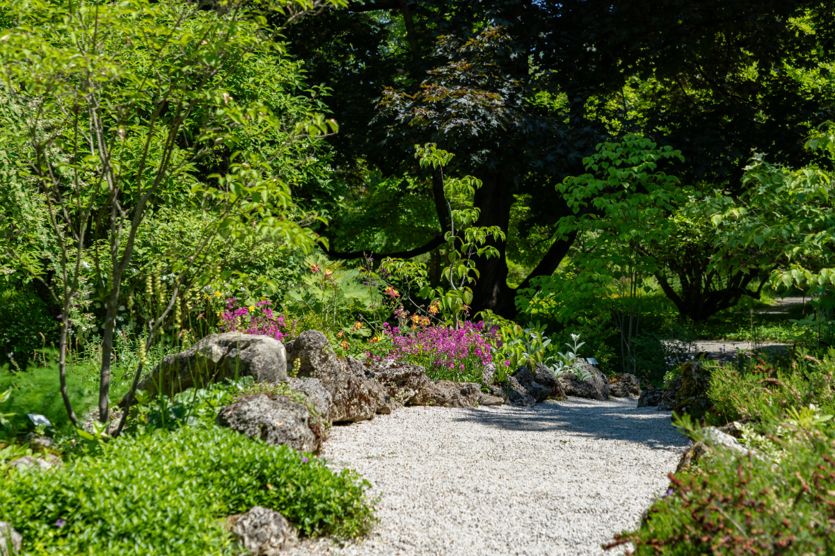 Birmingham Botanical Gardens.