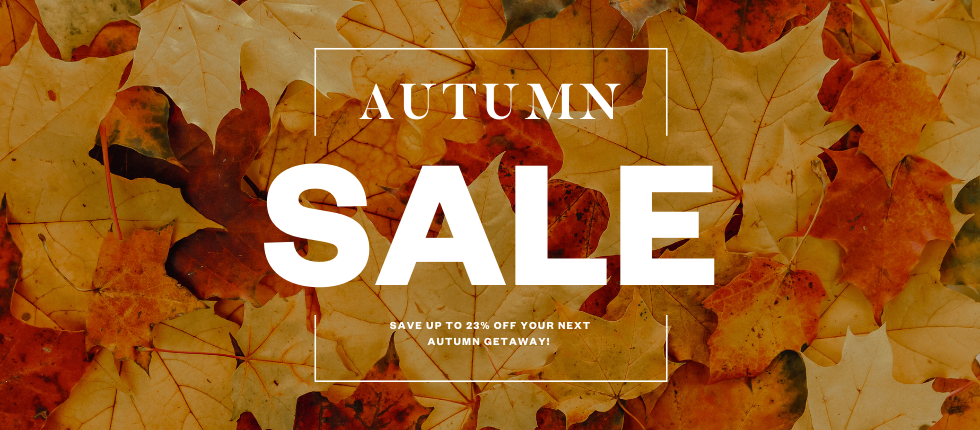 voco® Autumn Sale